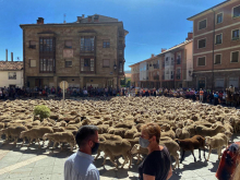 Trashumancia Cervera